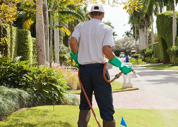 About Petersham MA Pest Control Pros